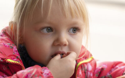 Trockenpflaumen: Gesundes für kleine Süßschnäbel