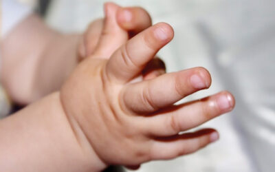 babySignal: Mit den Händen sprechen